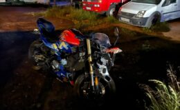 Domuza çarpmamak için fren yaptı: Motosiklete çarptı