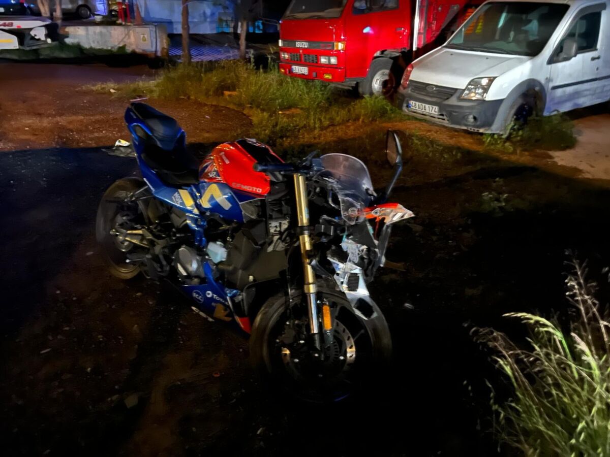 Muğla’nın Bodrum ilçesinde yola çıkan domuza çarpmamak için ani fren yapan