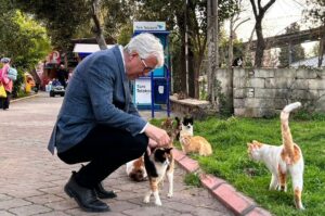 Buca’da can dostlarımız olan sahipsiz sokak hayvanlarının sağlık kontrollerinin sağlanıp,