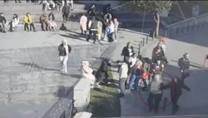 İzmir’in Urla ilçesinde, yaşanan talihsiz bir olay sonrasında kediyi öldüren