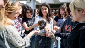 İzmir Büyükşehir Belediyesi, 4 Nisan Dünya Sokak Hayvanları Günü’nde PAKO