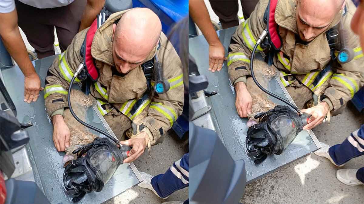 İzmir Büyükşehir Belediyesi İtfaiye Dairesi Başkanlığı ekipleri, Gaziemir’deki bir ev