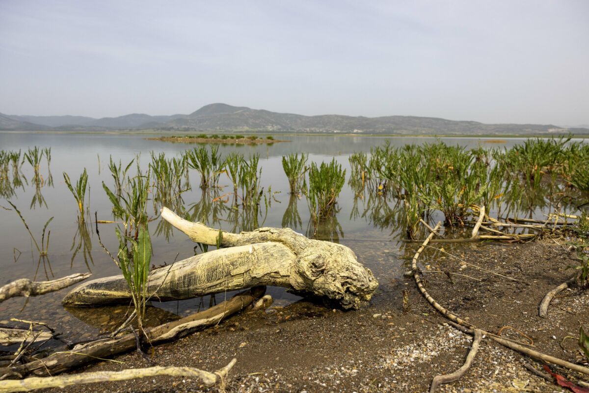 Tahtalı Barajı ‘S.O.S’ veriyor… En kurak 3. dönemini yaşıyor