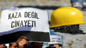 Demokrat Gündem- İşçi Sağlığı ve İşçi Güvenliği (İSİG) Meclisi, 2024