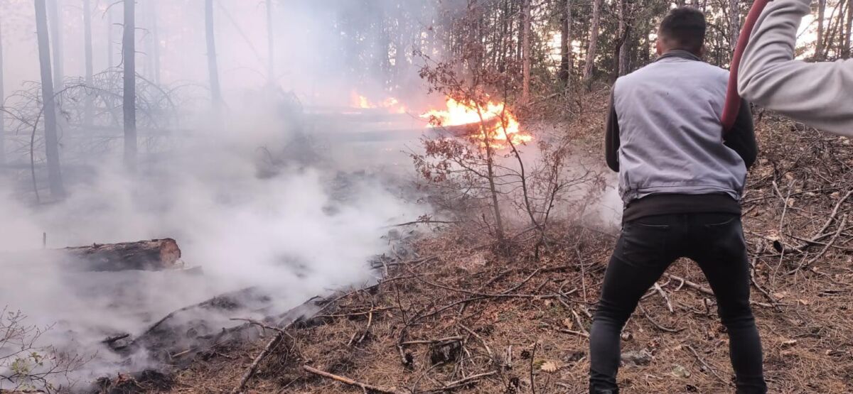 Kütahya’da orman yangını: Müdahale edilerek söndürüldü