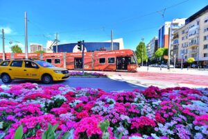 İzmir Büyükşehir Belediyesi, kentin caddeleri ve meydanlarını petunya, begonya, godetya,