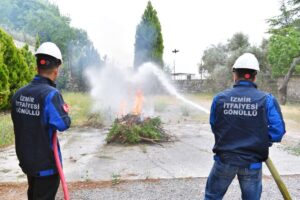 Küresel iklim krizi, artan sıcaklıklar, ormanlar üzerinde ciddi bir tehdit