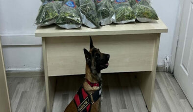 10 kilo uyuşturucuyu narkotik köpeği ‘Aysar’ buldu