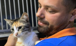 Geri dönüşüm kumbarasında mahsur kalan yavru kediyi ekipler kurtardı: Şişe ailesi artık güvende