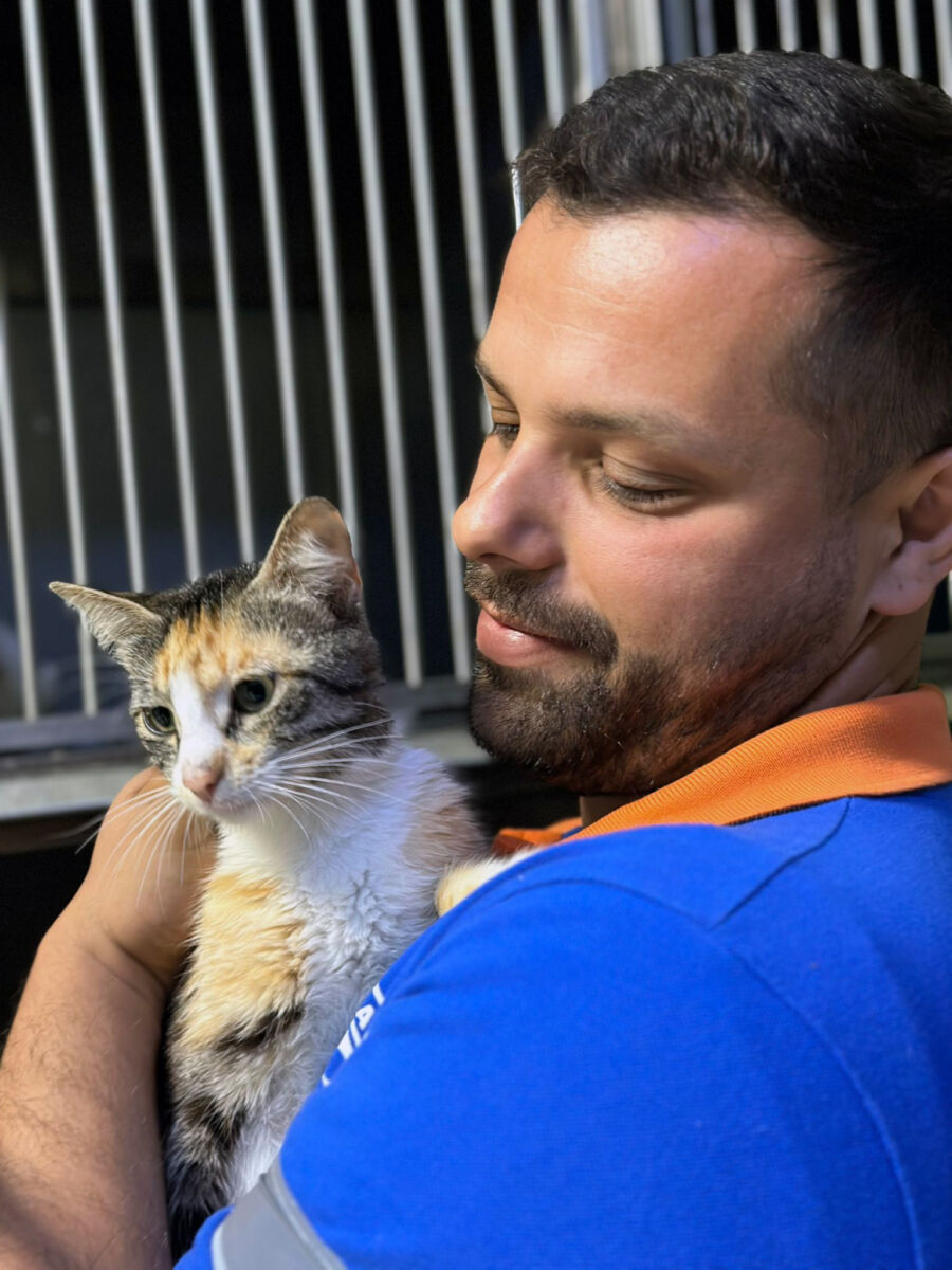Geri dönüşüm kumbarasında mahsur kalan yavru kediyi ekipler kurtardı: Şişe ailesi artık güvende