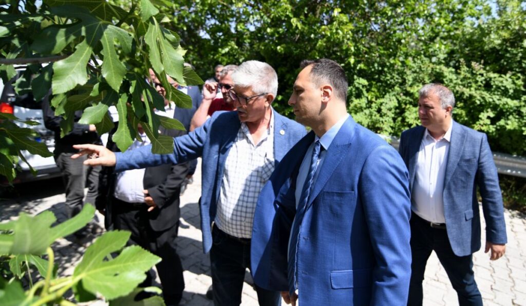 bornova