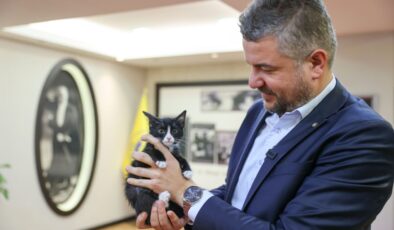 Başkan Görkem Duman makam odasını Üzüm adlı kediyle paylaşıyor: Engelli Kedi Evi’nden sahiplenmişti