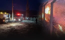 İzmir Büyükşehir’e ait ormanda çıkan yangın söndürüldü