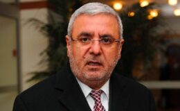 AK Partili Metiner’den Kavala ve Demirtaş’ın ‘yeniden yargılanması’ talebi