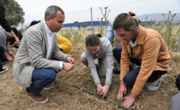 Bornova’da tarım seferberliği: Tohum ekiminden toprak işlemeye her ayrıntıda eğitim