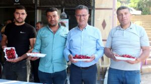Manisa haberleri Kiraz haberleri Ege haberleri Gündem haberleri Festival haberleri