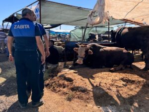 Çiğli Belediyesi Zabıta Müdürlüğü ekipleri Egekent, Evka 2, Evka 5