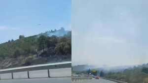 İzmir’in Bornova ilçesinde ormanda yangın çıktı. Yangına havadan ve karadan