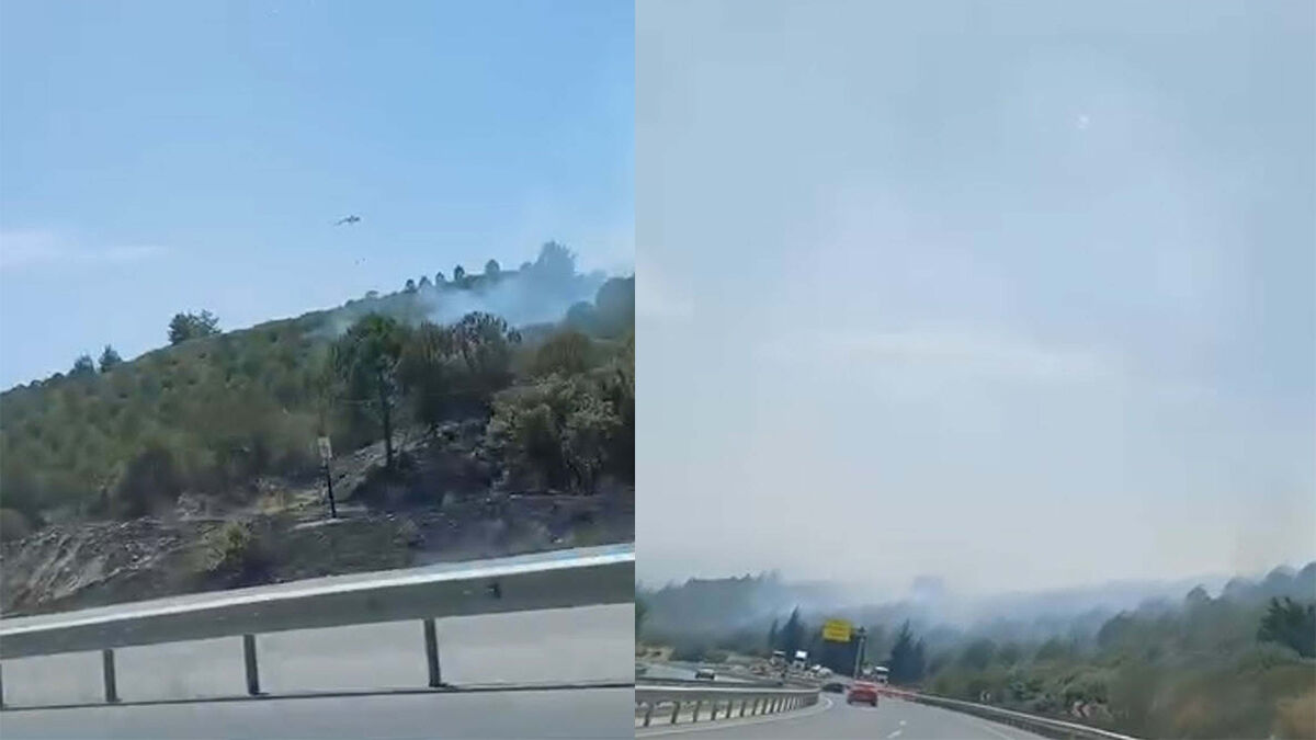 İzmir’in Bornova ilçesinde ormanda yangın çıktı. Yangına havadan ve karadan