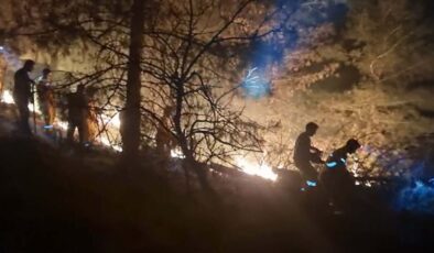 Aydın’da çıkan orman yangını 6 saatte söndürüldü; 26 hektar kül oldu
