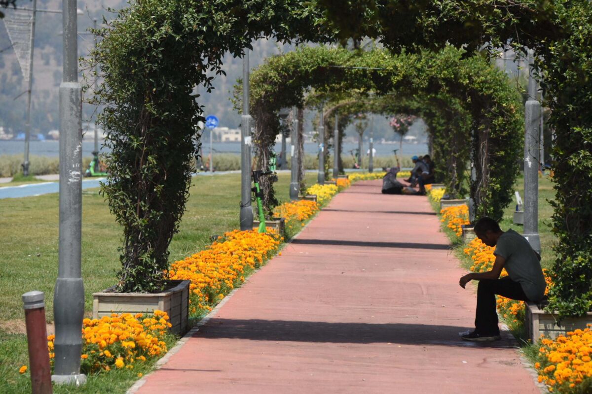 İzmir Ekonomi Üniversitesi (İEÜ) Medical Point Hastanesi’ndeki Nörolog Prof. Dr.
