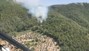 Muğla’nın Milas ilçesinde çıkan orman yangınına, havadan ve karadan müdahale