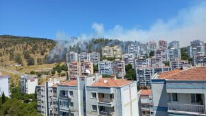İzmir’de bugün üç ayrı orman yangını çıktı ve yangınlar hızla