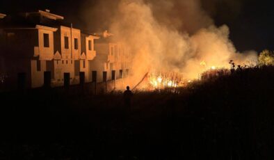 İzmir’de otluk alanda çıkan yangında alevler 2 metruk villaya sıçradı