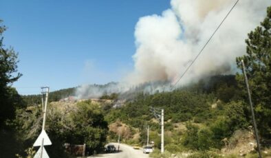 Spil Dağı’nda orman yangını