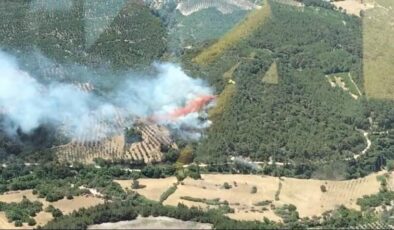 İzmir’deki orman yangını 20 saat sonra kontrol altına alındı