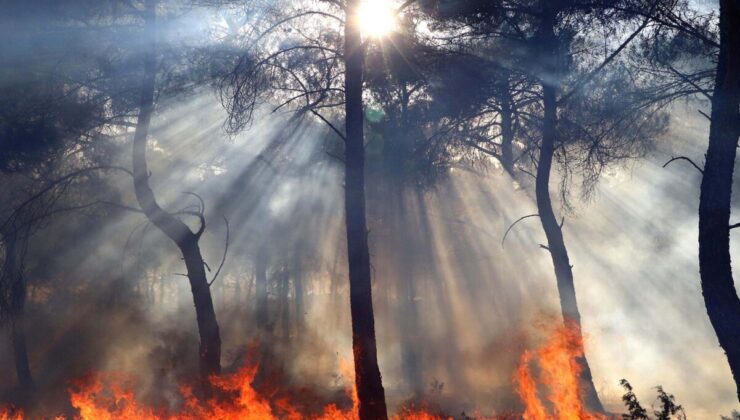 İzmir ve Manisa’da geçen yıl aynı döneme göre yangınlarda artış