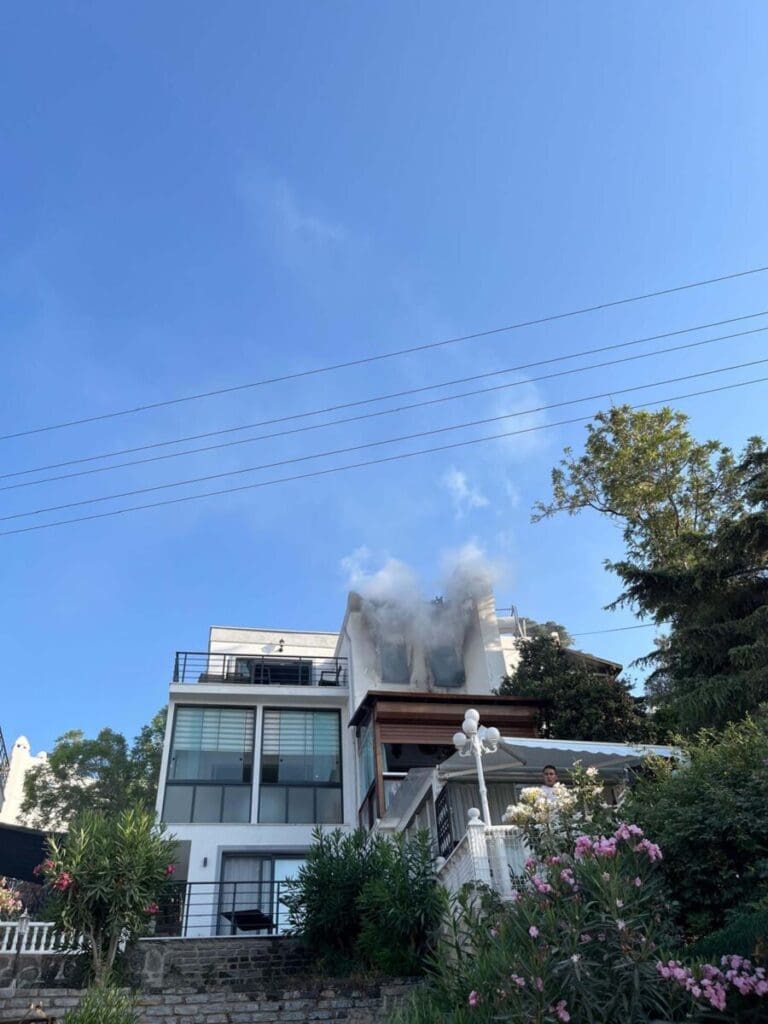 İtfaiye, villada çıkan yangında kedileri kurtardı 4 kedi