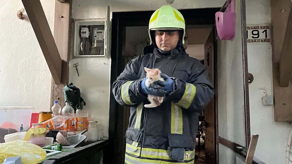 İtfaiye, villada çıkan yangında kedileri kurtardı