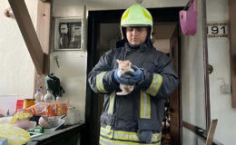 İtfaiye, villada çıkan yangında kedileri kurtardı
