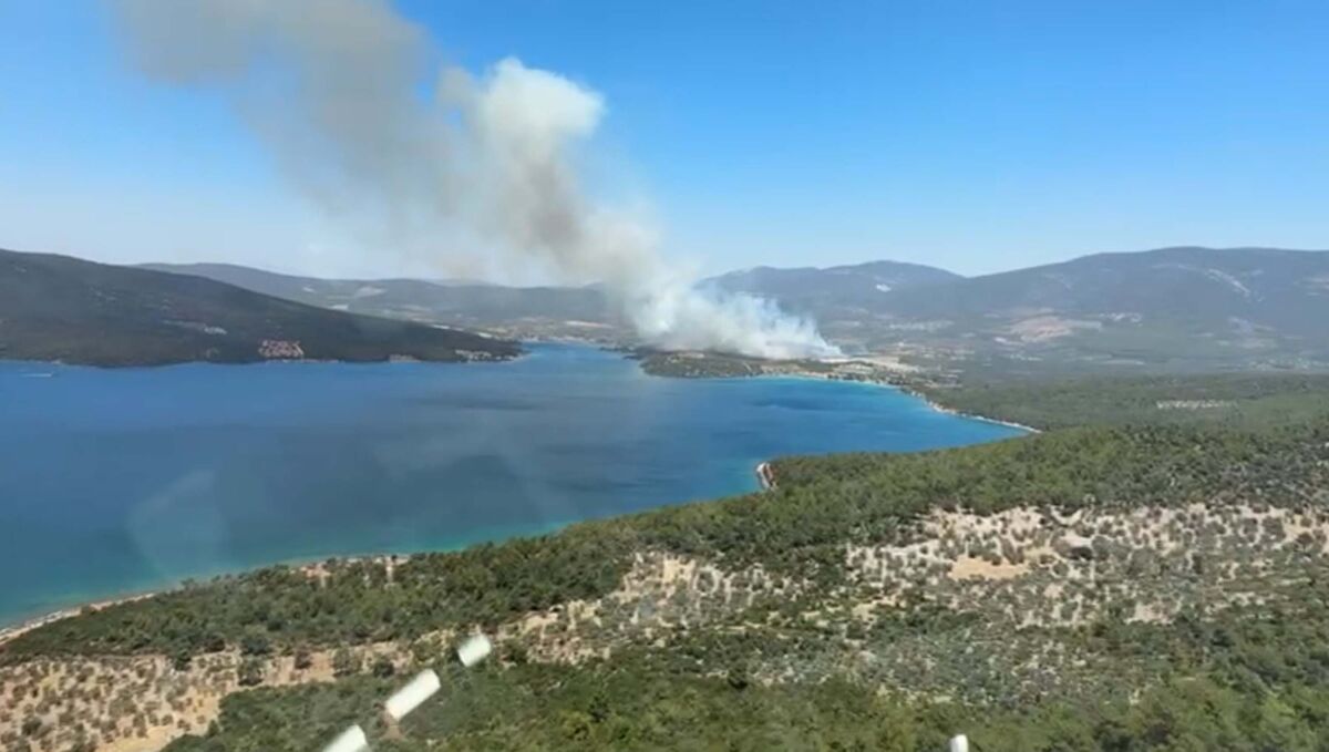Muğla’nın Milas ilçesinde, orman yangın çıktı. Yangın, 1,5 saatte kontrol