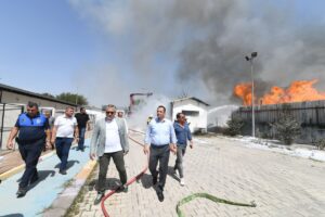Bornova’da Pınarbaşı’nda bir palet fabrikasında ve Manisa yolu üzerindeki ormanlık