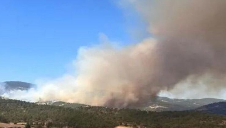 İzmir’de orman yangınına havadan ve karadan müdahale sürüyor: Yerleşim yerleri boşaltıldı