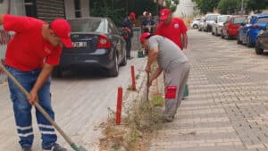 Menderes Belediyesi, yol kenarlarında ot temizliği gerçekleştiriyor. Yollar yabaniotlardan ayıklanarak