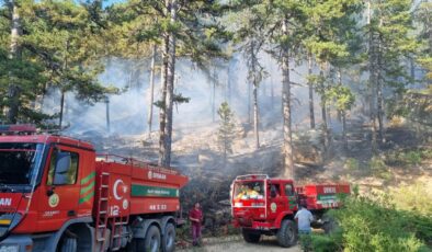Aydın’da orman yangını 5 saat sonra kontrol altında alındı: 22 dönüm alan zarar gördü