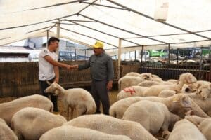 Bornova Belediyesi, vatandaşların Kurban Bayramı’nı sorunsuz geçirmesi için hazırlıklarını tamamladı.