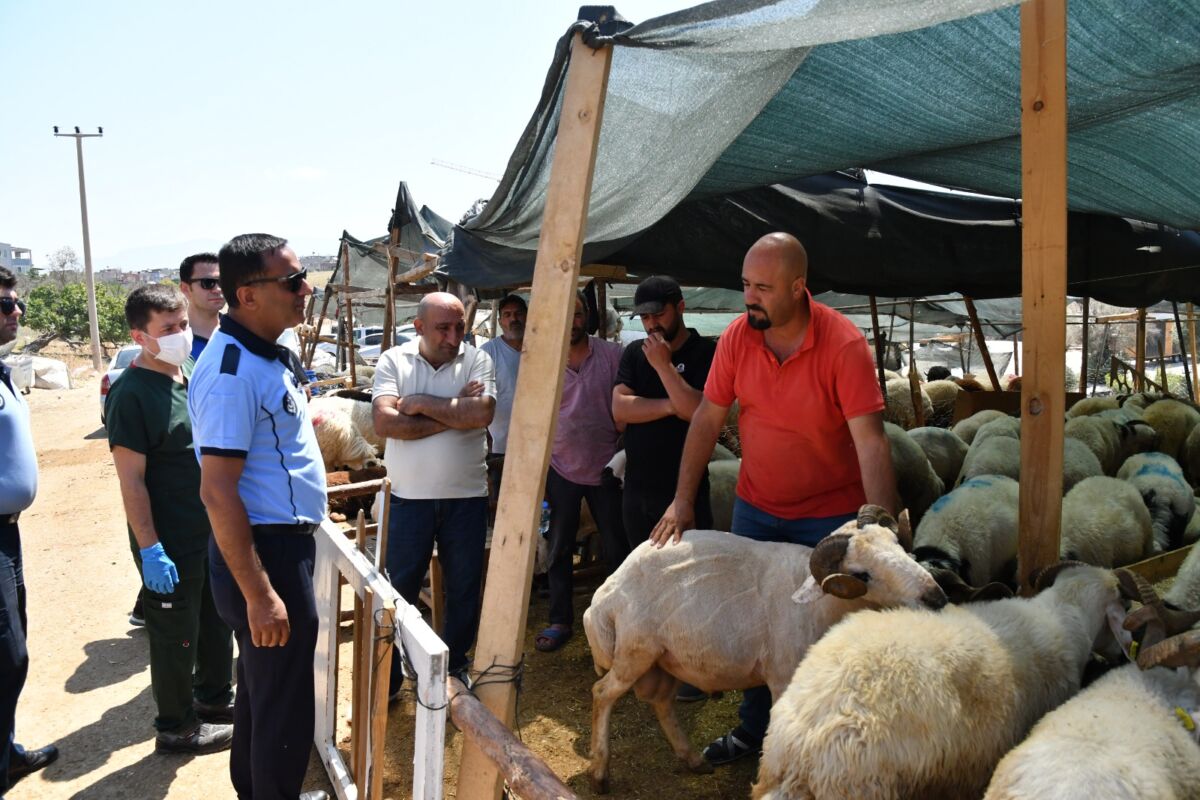 Karabağlar Belediyesi, Kurban Bayramı öncesi kurban satış ve kesim yerleriyle