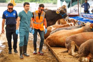 Buca Belediyesi, vatandaşların daha sağlıklı ortamlarda kurban alışverişlerini yapabilmeleri için