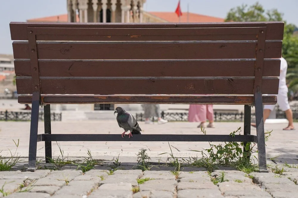 Ege Bölgesi’nde etkili olan bunaltıcı sıcaklar, birçok merkezde 40 derecenin