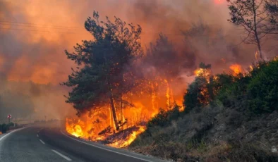 Ciğerlerimiz yandı! İzmir’deki orman yangınları kontrol altında