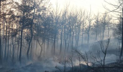 Selçuk’taki yangın Kuşadası’na sıçradı: Karadan ve havadan müdahale sürüyor