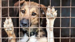 AK Parti Grup Başkanı Abdullah Güler, uzun süredir tartışma konusu