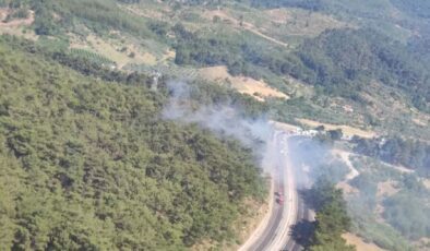 İzmir’de orman yangını: İşte son durum