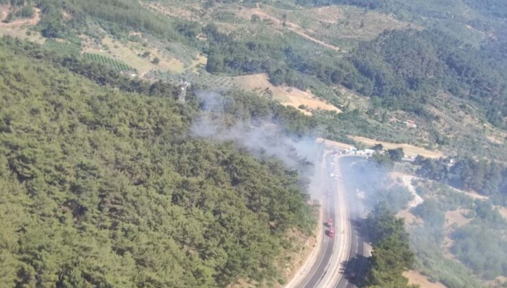 İzmir’de orman yangını: İşte son durum