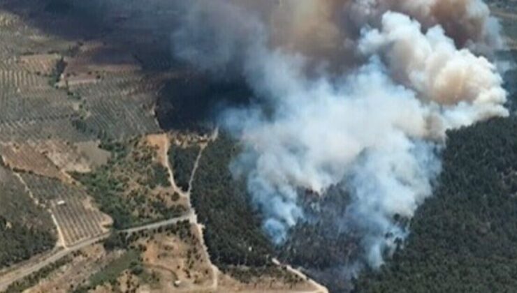 Manisa’da otluk alanda yangın: Havadan ve karadan müdahale ediliyor