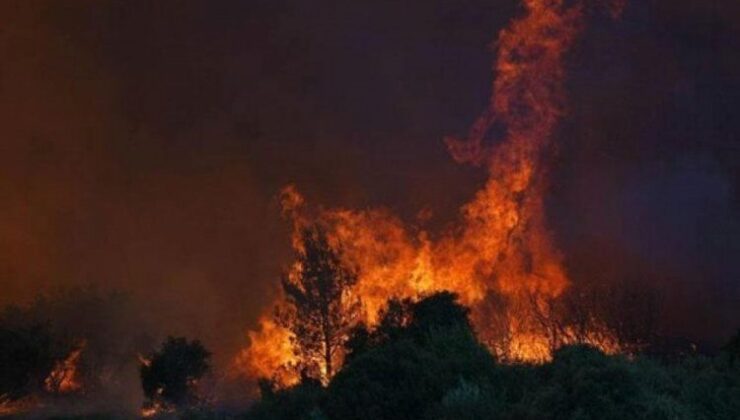 İzmir’de orman yangını: Tahliyeler başladı